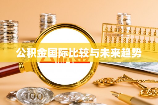 灵台公积金国际比较与未来趋势