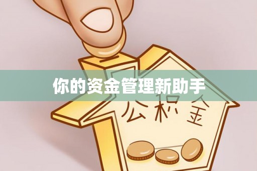 灵台你的资金管理新助手