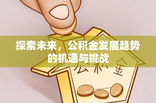 灵台探索未来，公积金发展趋势的机遇与挑战