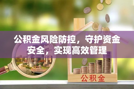 灵台公积金风险防控，守护资金安全，实现高效管理