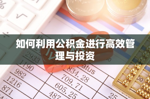 灵台如何利用公积金进行高效管理与投资